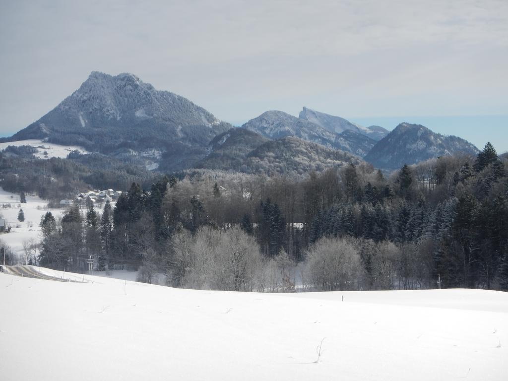 Ferienwohnung Nahe Fuschlsee, Hof Bei Salzburg Eksteriør billede