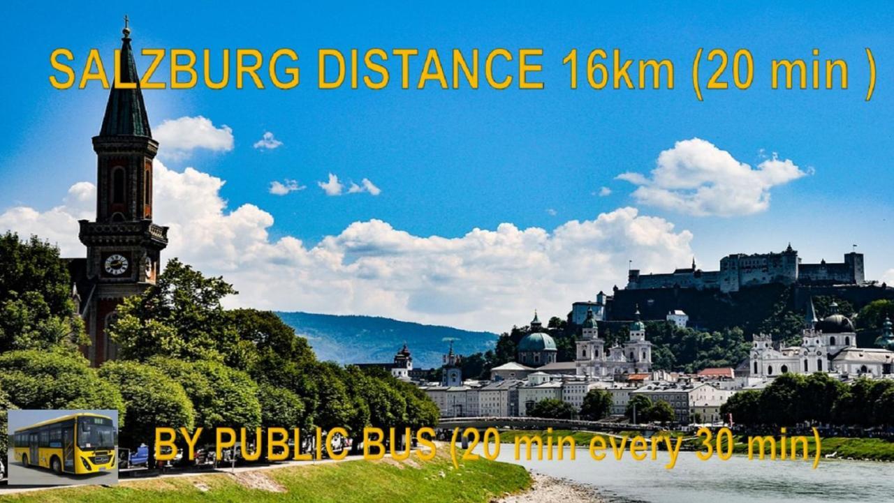 Ferienwohnung Nahe Fuschlsee, Hof Bei Salzburg Eksteriør billede